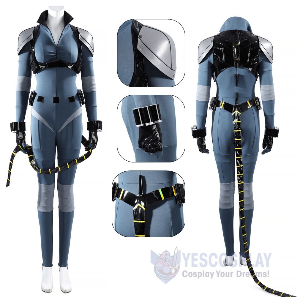 Absolute Selina Kyle Cosplay Costume Suit for Women