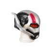 Ant-Man and the Wasp Quantumania Cosplay Costume