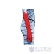 Avatar Fire and Ash Varang Cosplay Costume Jumpsuit for Adults