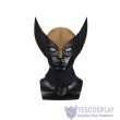 Deadpool & Wolverine Brown Battle Suit Cosplay Jumpsuit for Adults
