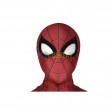 Iron Spider-man Cosplay Costume Spider man No Way Home Suit