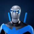 Knights Hero Dick Grayson Bodysuit Cosplay Costume Premium version