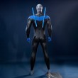 Knights Hero Dick Grayson Bodysuit Cosplay Costume Premium version