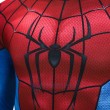 Spider-Man Brand New Day Bodysuit Cosplay Costume