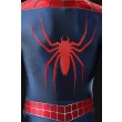 Peter Parker Spider-Man 2 Tobey Maguire Cosplay  Costume Suit