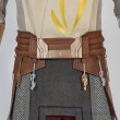 Star Wars Jedi Temple Guard Cosplay Costume Galaxy of Heroes Suit