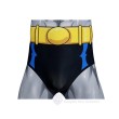 Bruce Wayne 2004 TV Series Cosplay Costume with Jumpsuit and Mask