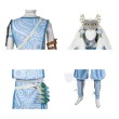 The Legend of Zelda Tears of the Kingdom link Mystic Set Cosplay Costumes