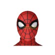 What If Spider Man Zombie Hunter Cosplay Costumes