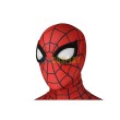 What If Spider Man Zombie Hunter Cosplay Costumes
