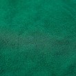 Zelda Princess Green Dress The Legend of Zelda Tears of the Kingdom Cosplay Costumes