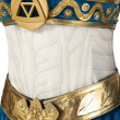 Nintendo Zelda Breath of the Wild Princess Zelda Cosplay Costume Dress Women Halloween