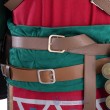 The Legend of Zelda Tears of the Kingdom Link Hylian Cosplay Costume Adult Halloween Suit