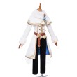 Princess Zelda Winter Cosplay Costumes The Legend of Zelda Game Outfit